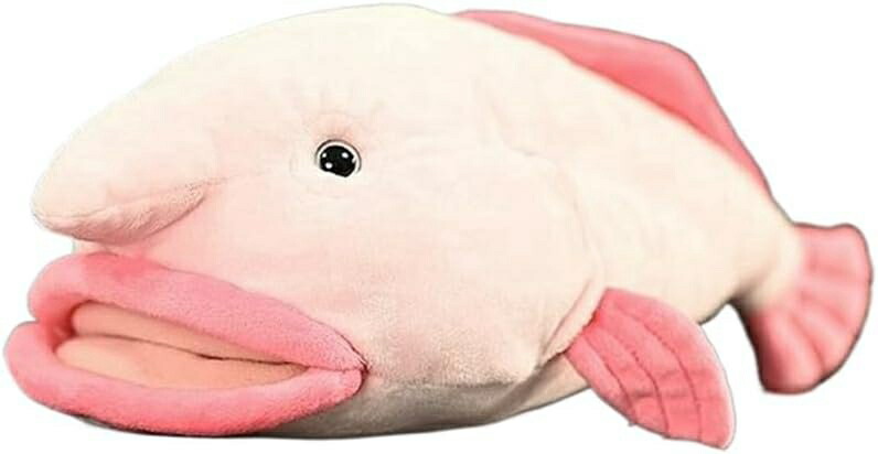 楽天市場】ニュウドウカジカ X ブロブフィッシュ サイズ:50cm ふわふわ