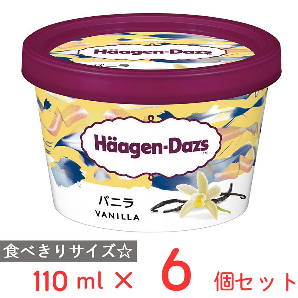 Haagen-Dazs ハーゲンダッツ キャップ 6パネル 90's Haagen-Dazs 6パネルCAP - used&vintage box Hi-smile