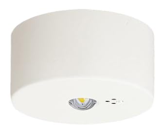 非常用照明器具 LED 天井直付型 昼白色 30分間タイプ 低天井用 鋼板 ガラス ニッケル水素蓄電池 点検スイッチ付 充電モニタ付 水平天井取付専用|スマイルセレクション