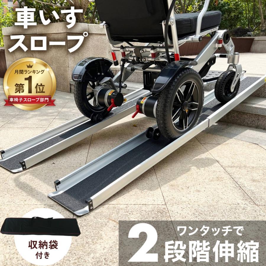 車いす のり面 持ちはこぶ 段差取り止める 段差のり面 段差一皿 段差取り止めるのり面 車椅子 車いす用のり面 介護装置 ラダーレール 2本