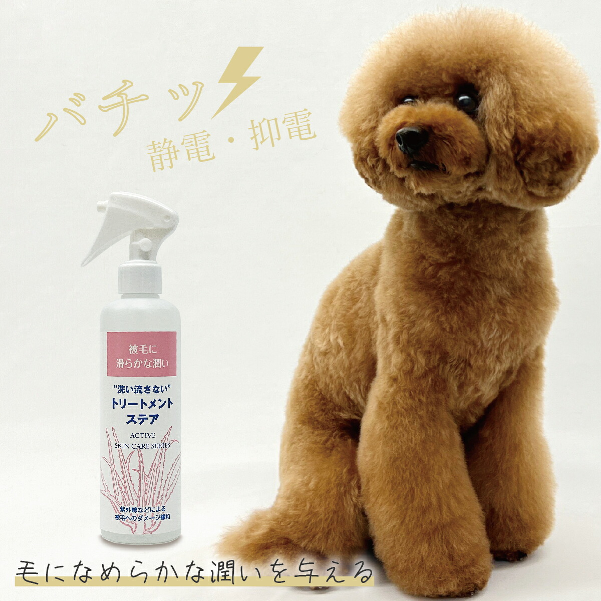 楽天市場】【アジル】オイリーコントロールシャンプー 低刺激性