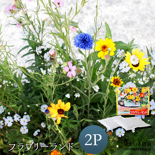 フラワリーランド(2パック)【ガーデニング/花/種】【植えっぱなしで次々咲く