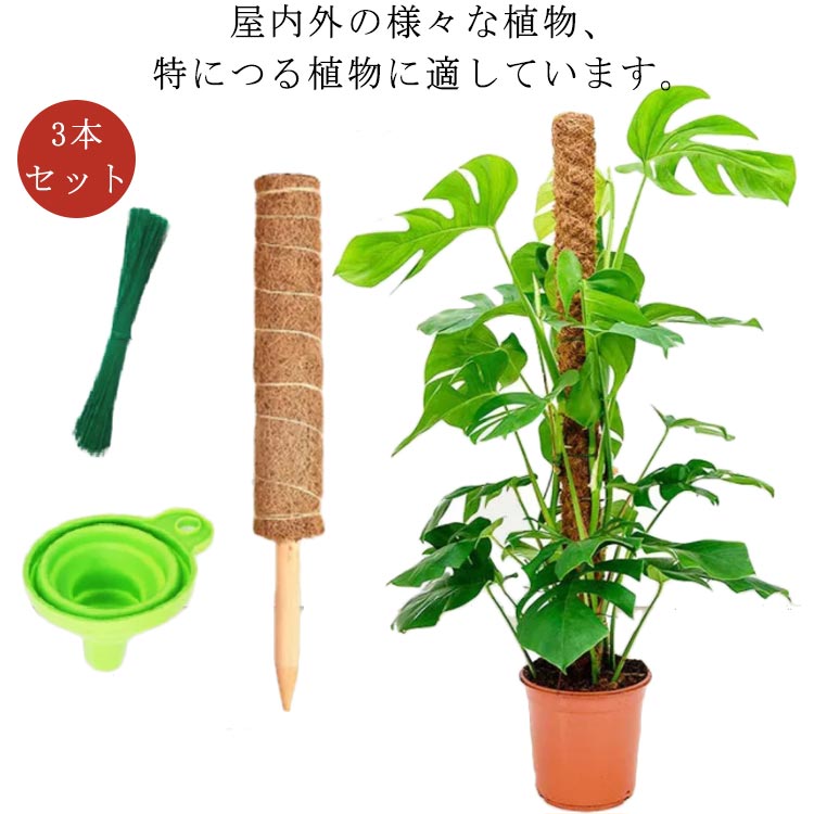 楽天市場】植物支柱 3本セット 園芸支柱 モンステラ支柱 30cm 40cm