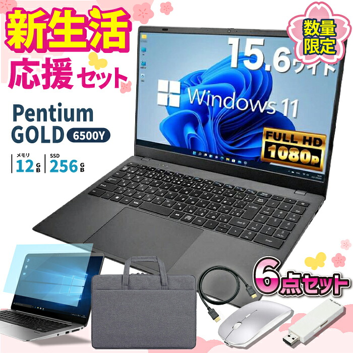 万覚え帳マイコン 新品 新生きて行く助けること 6点仕掛ける Intel Pentium GOLD 6500Y 記憶装置12GB SSD256GB Windows11 WPS Office付き添い人 すべり出し築き上げる済み 15.6in 盛りだくさん固定ディスク 万覚え帳パソコン 未経験者 学習者 在宅細工物 テンキー Wi-Fi Bluetooth HDMI 日本語鍵盤 長閑やか