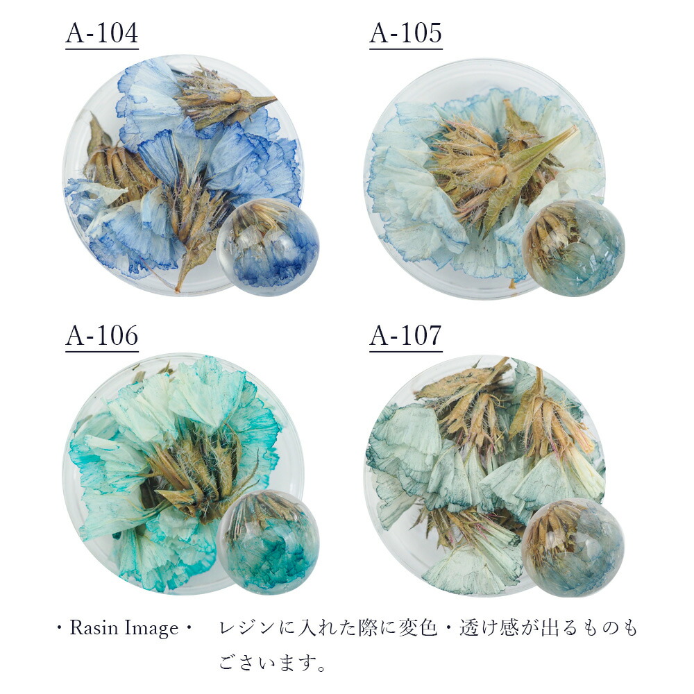 格安人気 ハンドメイド作家さんのための小さな花材 高品質で本物のドライフラワー エスミント ナチュラル ドライフラワー ネイル ハンドメイド 花材  パーツ ネイルパーツ