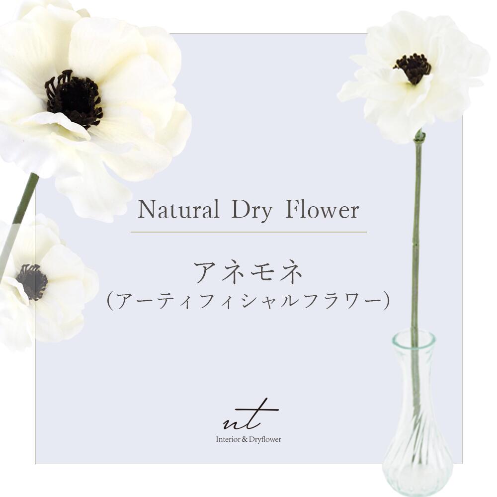 264円 Sale 56 Off アネモネ ドライフラワー ドライリーフ Dryflower 花材 インテリア スワッグ ブーケ フラワーアレンジメント ハンドメイド プレゼント ギフト ワイルドフラワー 一輪挿し