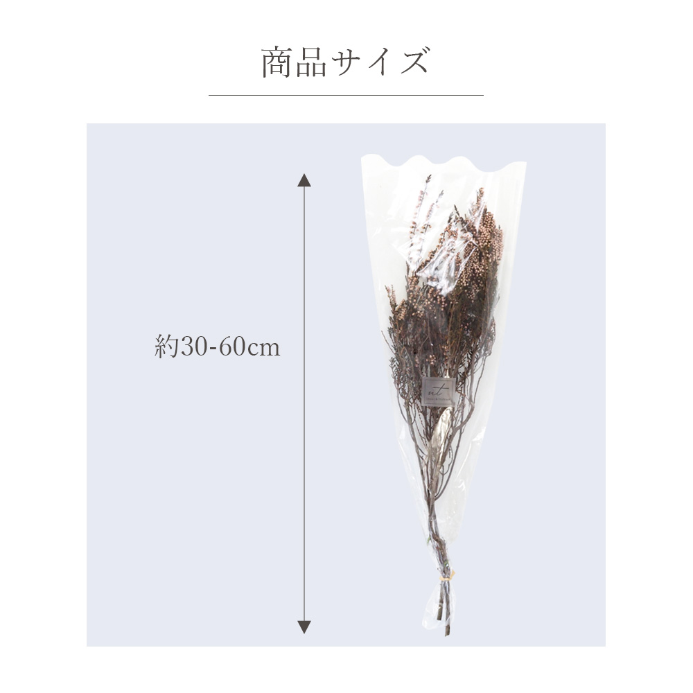 エリカ ドライフラワー スワッグ ドライリーフ Dryflower 花材 インテリア ブーケ フラワーアレンジメント