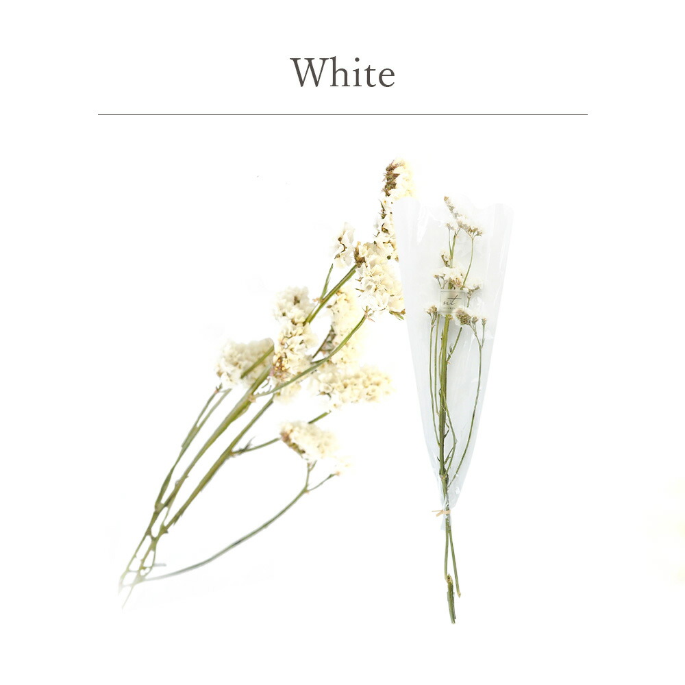 スターチス ドライフラワー スワッグ インテリア Dryflower フラワーアレンジメント ブーケ 花材 ドライリーフ