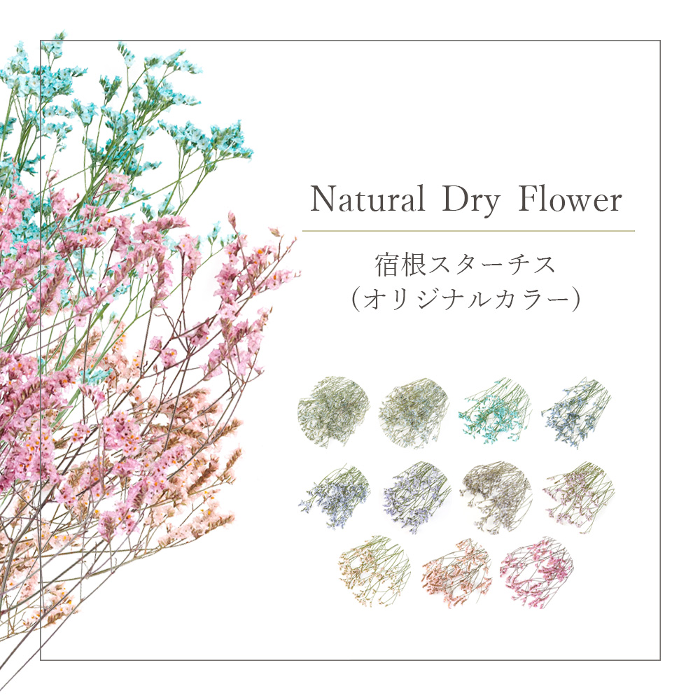 市場 宿根スターチス ドライフラワー オリジナルカラー Dryflower インテリア スワッグ ドライリーフ 花材