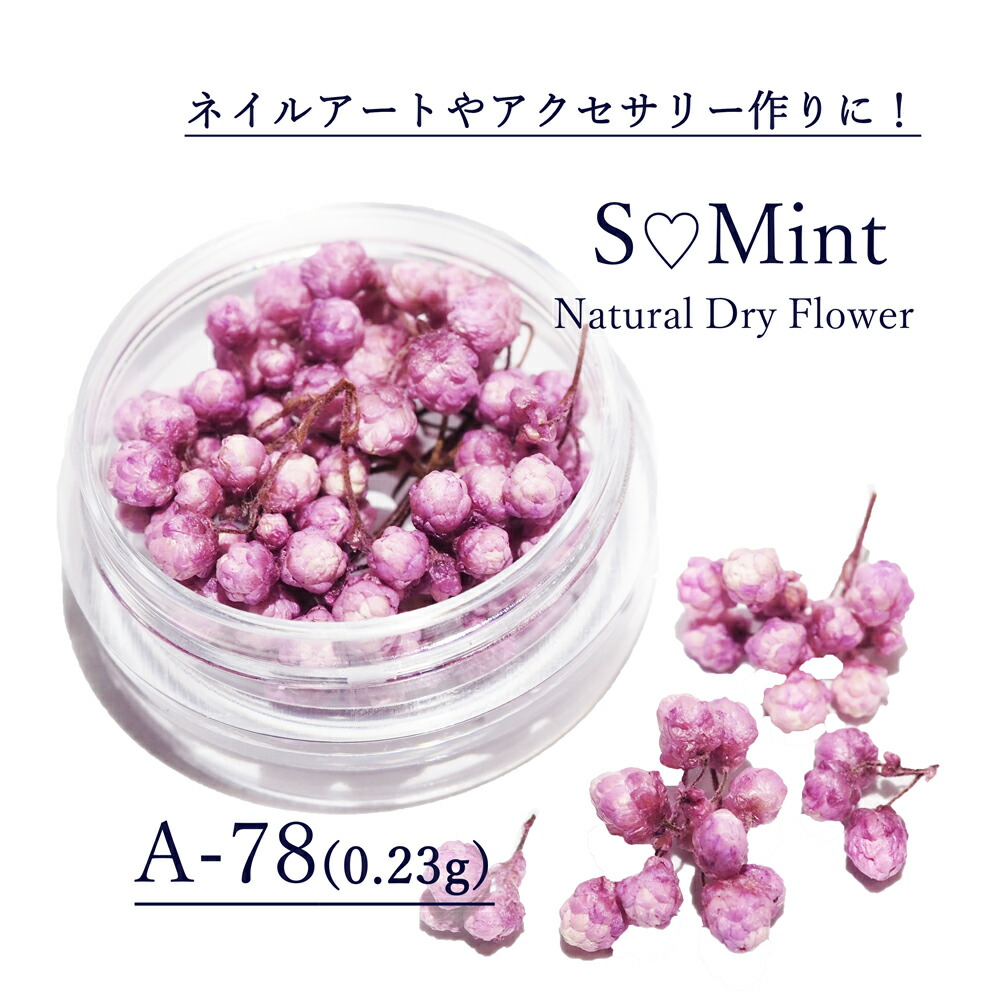 小さなドライフラワー A 78 出荷 高品質 豊富なカラーバリエーション エスミント ナチュラル ドライフラワー ネイル ネイルパーツ ハンドメイド 花材 アクセサリー 押し花ネイル ネイルアート アクセサリーパーツ