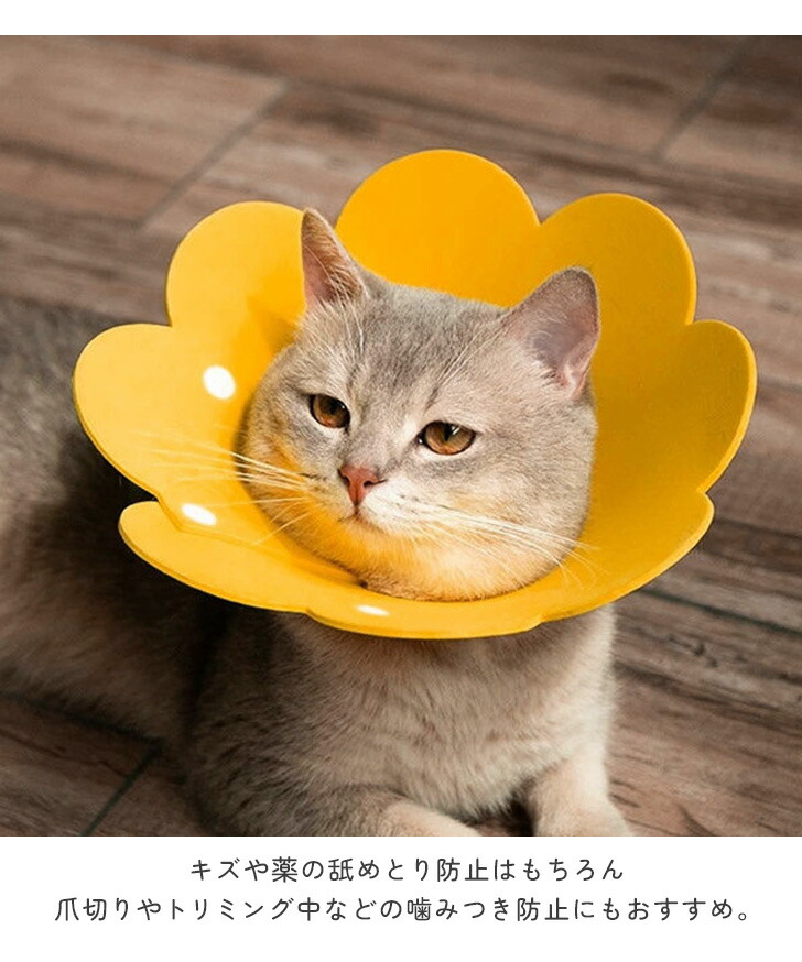 送料無料 選べる4サイズ ペット用品 猫の日 フェルト ねこ 犬用品 軽量