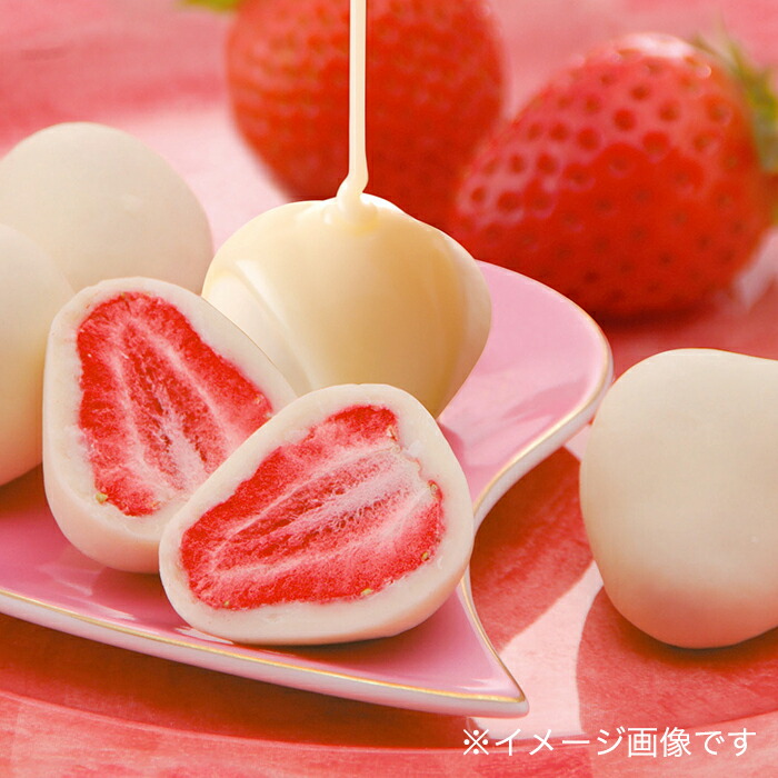 ♡かわいやいちご♡2点セット 🍓いちごのピクニックセット-Strawberry Picnic Set🍓 - おもち