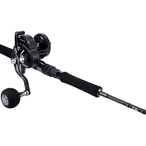 SALE／75%OFF】 ダイワ DAIWA ベイトリール 19 キャタリナ 15H 2019