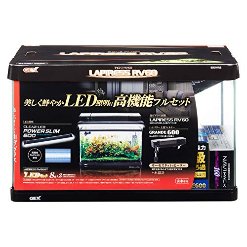 ジェックス GEX AQUARIUM ラピレスRV60GT LEDセット グランデ600付属曲げガラス水槽W60×D30×H36cm 約56L|SNマート 店