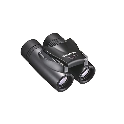 OLYMPUS ダハプリズム双眼鏡 10x21 RCII ダークシルバー 小型軽量/折り畳み可能/旅行/屋内使用/美術館/博物館/アート鑑賞/演
