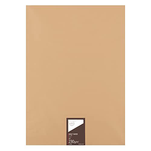 コクヨ(KOKUYO) ケント紙 A1 100枚 230g セ-KP36｜SNマート　店