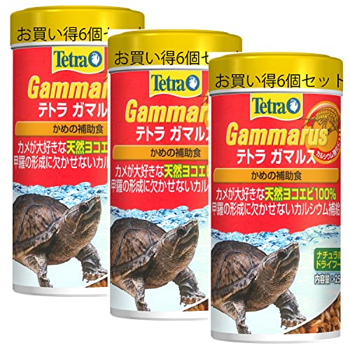 Tetra テトラガマルス25g 6本セット