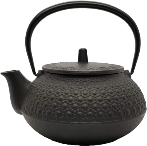 岩鋳 Iwachu 鉄瓶兼用急須 5型新亀甲 黒焼付 0.65L ホーロー皆無 直火可 南部地方金物 12804