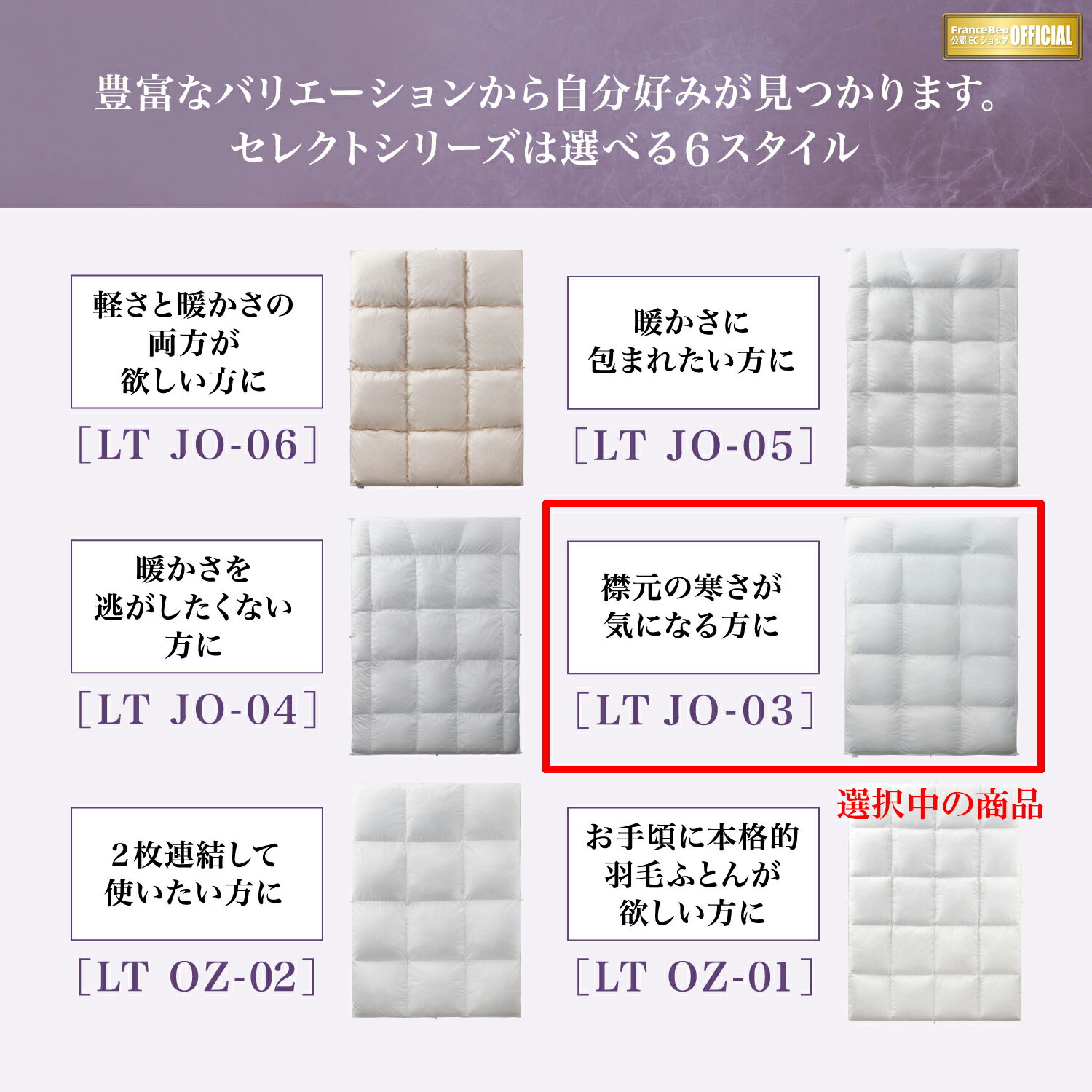 フランスベッド羽毛布団オールシーズンタイプ2枚セットQクイーンLTJO-03セレクトSelectホワイトグースダウン90%ポーランド産制菌消臭防ダニ抗菌防臭10年保証JOORYU高級高品質羽毛ふとんベーシックホワイト送料無料日本製