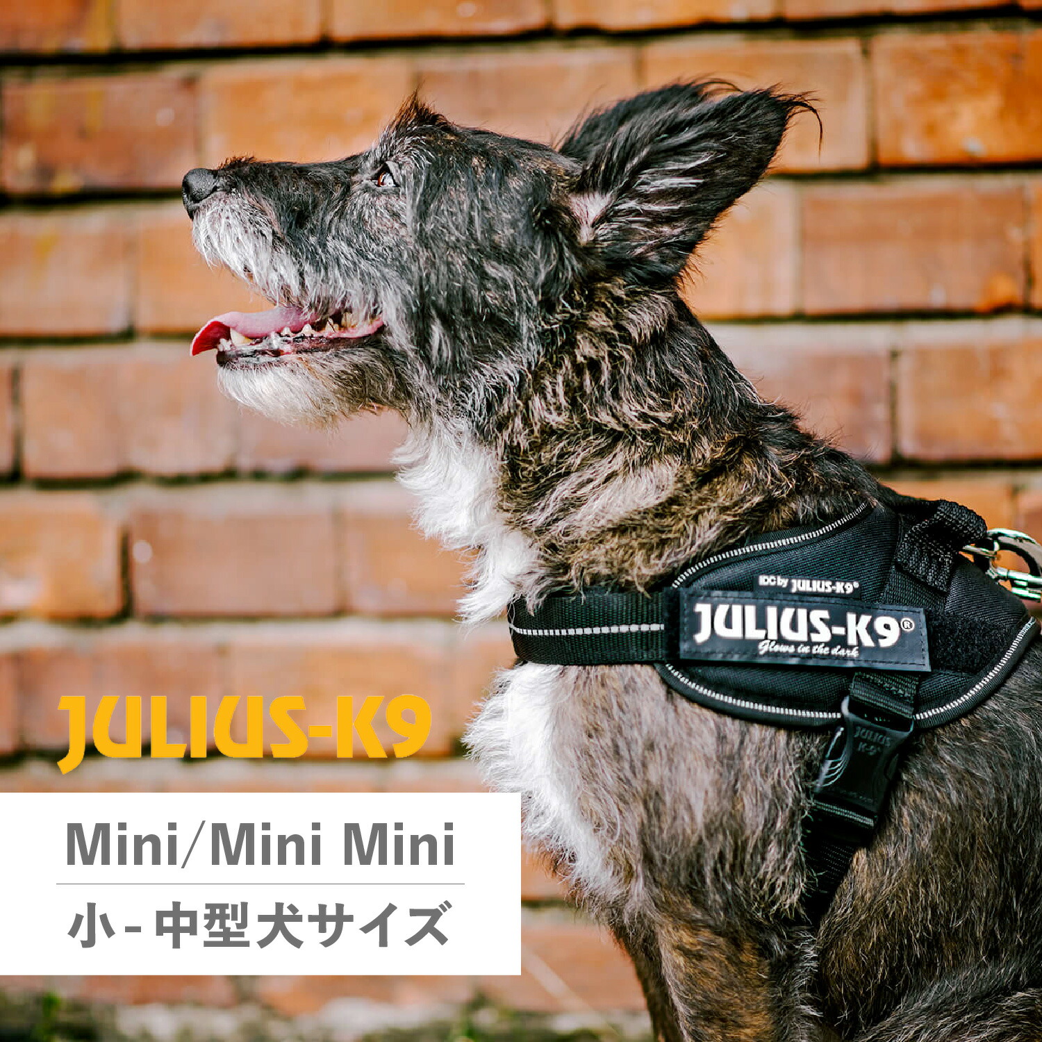 美品 JULIUS / ユリウス バックル レザーベルト オールブラック 日本製 ベルト 栃木レザー メンズ 本革 クラフト 帯のみ 交換用