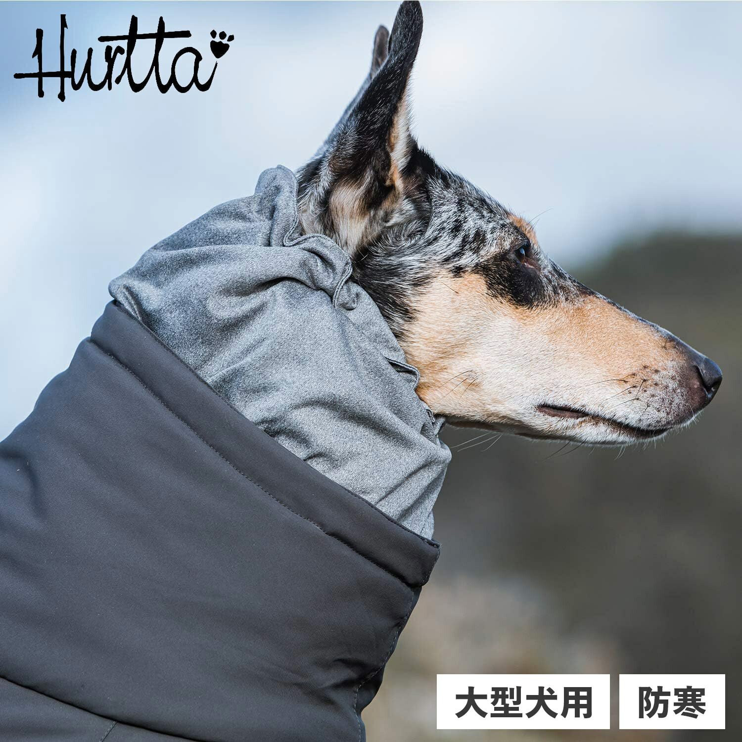 楽天市場】Hurtta EXTREME OVERALLS フルッタ 犬 服