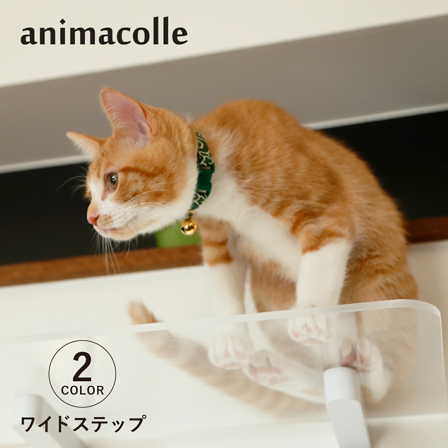 【最大1000円OFFクーポン発行中 4/12 23:59まで！】 アニマコレ animacolle キャットステップ キャットタワー ワイドステップ 日本製 安全 壁付け 棚板 足場 猫 ねこ コンパクト DIY ホワイト クリア 白