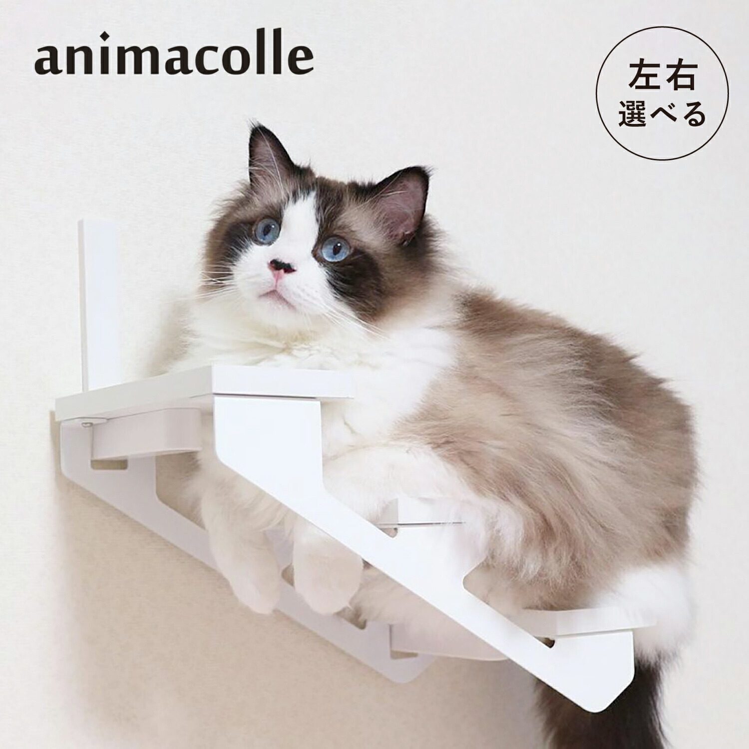 【最大1000円OFFクーポン発行中 4/17 11:59まで！】 アニマコレ animacolle キャットステップ キャットタワー キャットラダー 左上り/右上り 日本製 安全 壁付け 棚板 足場 猫 ねこ コンパクト DIY ホワイト 白