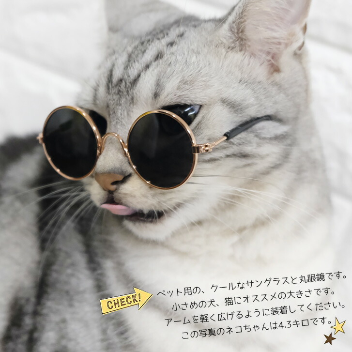 市場 ネコポスok 誕生日用 イヌ ペット用 ネコ 猫 小型犬 長毛種 サングラス 犬 かわいい 市場 ネコポスok 誕生日用 イヌ ペット用 ネコ 猫 小型犬 長毛種 サングラス 犬 かわいい