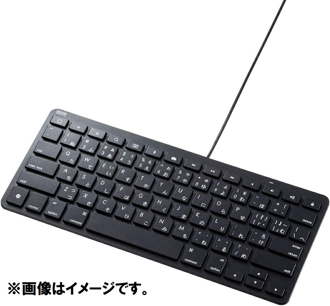 楽天市場】＼P最大20倍／新品 サンワサプライ SANWA SUPPLY iPad