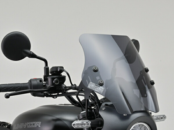 42235 DAYTONA デイトナ ウインドシールド SS ELIMINATOR SE（'24）