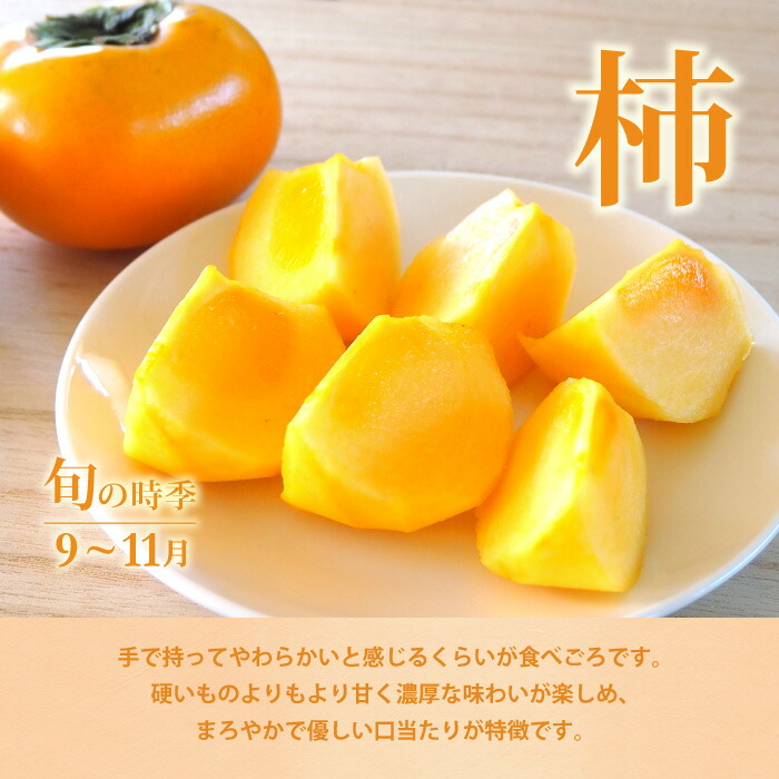 NEW限定品】 マスクメロン入り季節の果物詰合せ 敬老の日 渋谷西村 西村 詰め合わせ フルーツ詰め合わせ フルーツギフト フルーツ ギフト 残暑見舞  プレゼント 内祝 誕生日 お見舞い お供え 果物 高級フルーツ 高級 贈答用 贈り物 贈答品 快気祝 引越祝 退院祝 手土産 ...