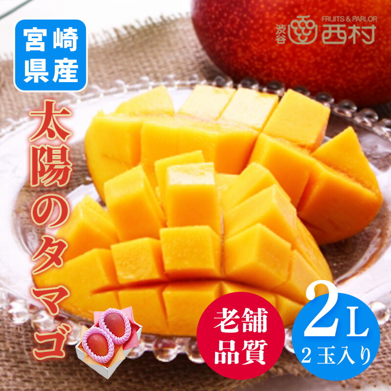 太陽のタマゴ マンゴー 宮崎県産 2L 2玉 お祝い フルーツ ギフト 果物 詰め合わせ 高級フルーツ 渋谷西村 産地厳選 送料無料 フルーツギフト お供え 御供 プレゼント 内祝 誕生日 お見舞い 祭事 高級 贈答 贈り物 引越祝 退院祝 母の日