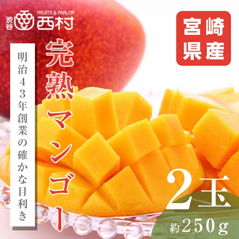 宮崎県産 マンゴー 約250g×2玉 完熟マンゴー 母の日 父の日 フルーツ ギフト プレゼント 内祝 誕生日 お見舞い お祭り 祭事 果物 高級フルーツ 高級 贈り物 贈答用 贈答品 引越祝 快気祝 退院祝 手土産