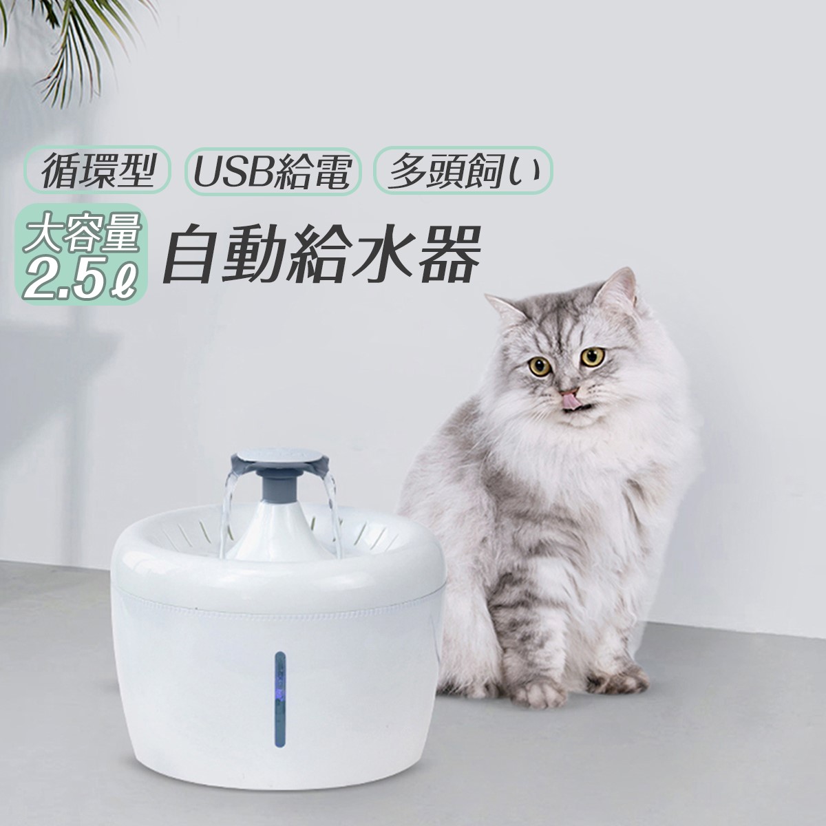 楽天市場 猫 水飲み器 給水器 3l ペット用 自動給水機 自動給水器 給水機 Usb 食器 水 自動 交換 循環式給水器 循環式 清潔 オート ペット ペット用食器 ペット用品 犬 イヌ いぬ 犬用 犬用品 猫 ねこ 猫用 ネコ用 ねこ用 猫用品 ネコ用品 楽天市場 猫 水飲み器 給水器 3l ペット用 自動給水機 自動給水器 給水機 Usb 食器 水 自動 交換 循環式給水器 循環式 清潔 オート ペット ペット用食器 ペット用品 犬 イヌ いぬ 犬用 犬用品 猫 ねこ 猫用 ネコ用 ねこ用 猫用品 ネコ用品