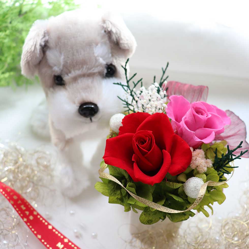楽天市場 お見舞い 誕生日 プレゼント 花 犬 ぬいぐるみ クリスマス 結婚祝い プレゼント プリザーブドフラワー 犬 電報 ギフト 結婚式 電報 母親 花 わんだ プチフラワーセット プリザーブドフラワー ブリザーブドフラワー お供え ペット 結婚記念日 結婚祝い