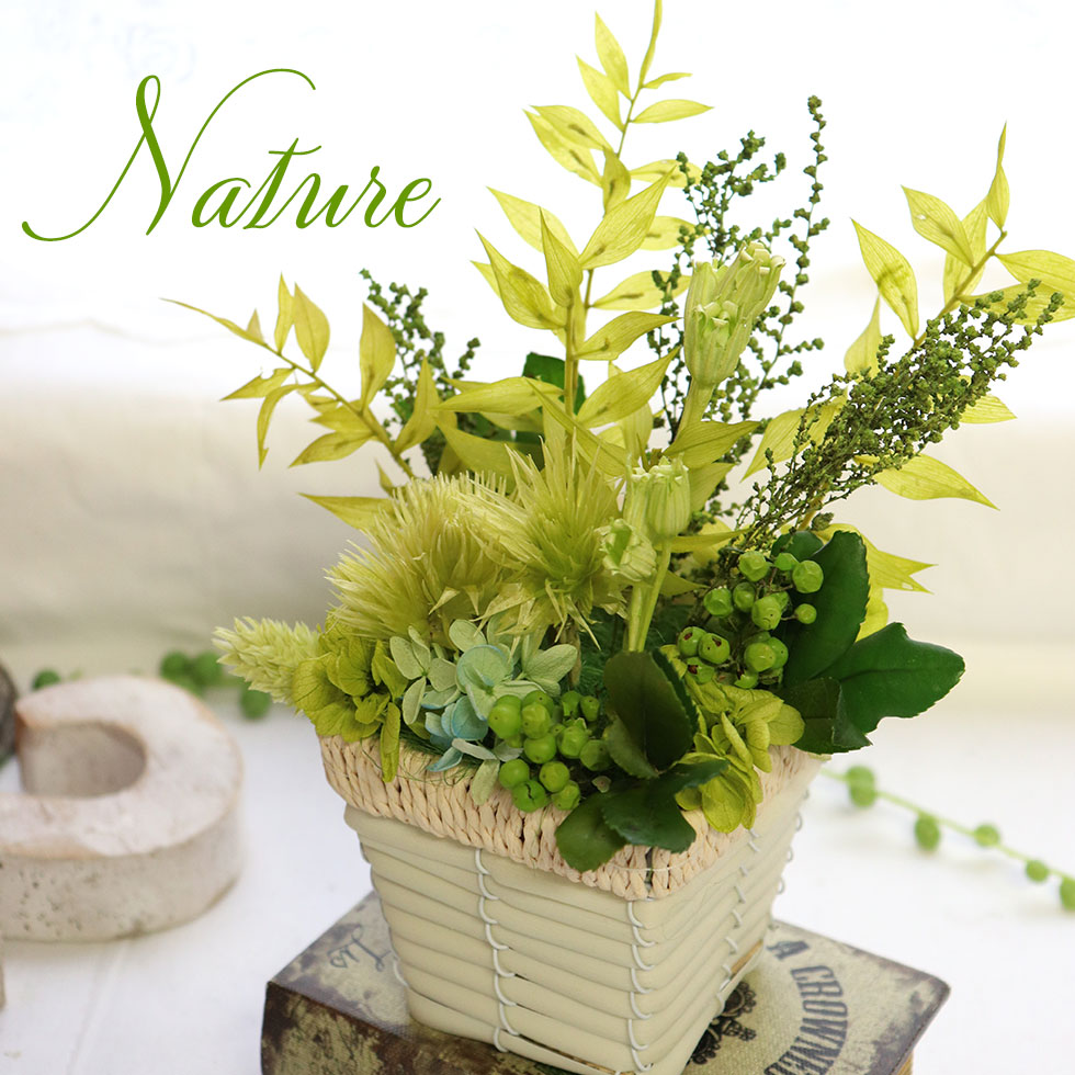 楽天市場 新築祝い 花 ギフト プレゼント インテリアグリーン 緑寿 お祝い 新生活 グリーン 父 誕生日 ナチュール プリザーブドグリーン 観葉植物 プリザーブド 退職祝い 男性 お祝い 新築祝い インテリアグリーン 結婚記念日 プレゼント 花 花束 夫 改築祝い 結婚