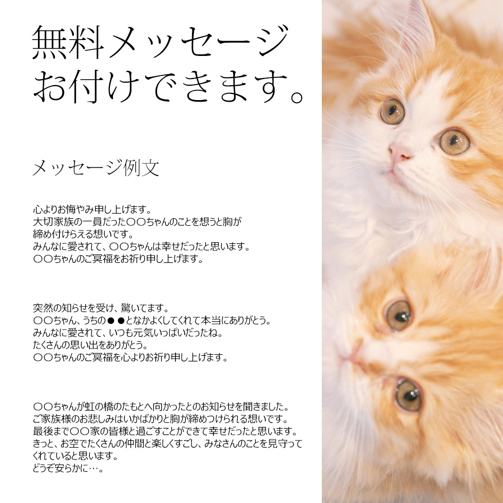 楽天市場 ペット お供え プリザーブド 犬 お悔やみ 贈り物 ペット 犬 お悔やみ 花 お悔やみ花 プリザーブドフラワー ブリザード お線香 メッセージ 贈り物 お悔やみの言葉 お供え花 お供え物 線香 虹のかなたとフラワーセット カメヤマ ペット供養 メモリアルギフト