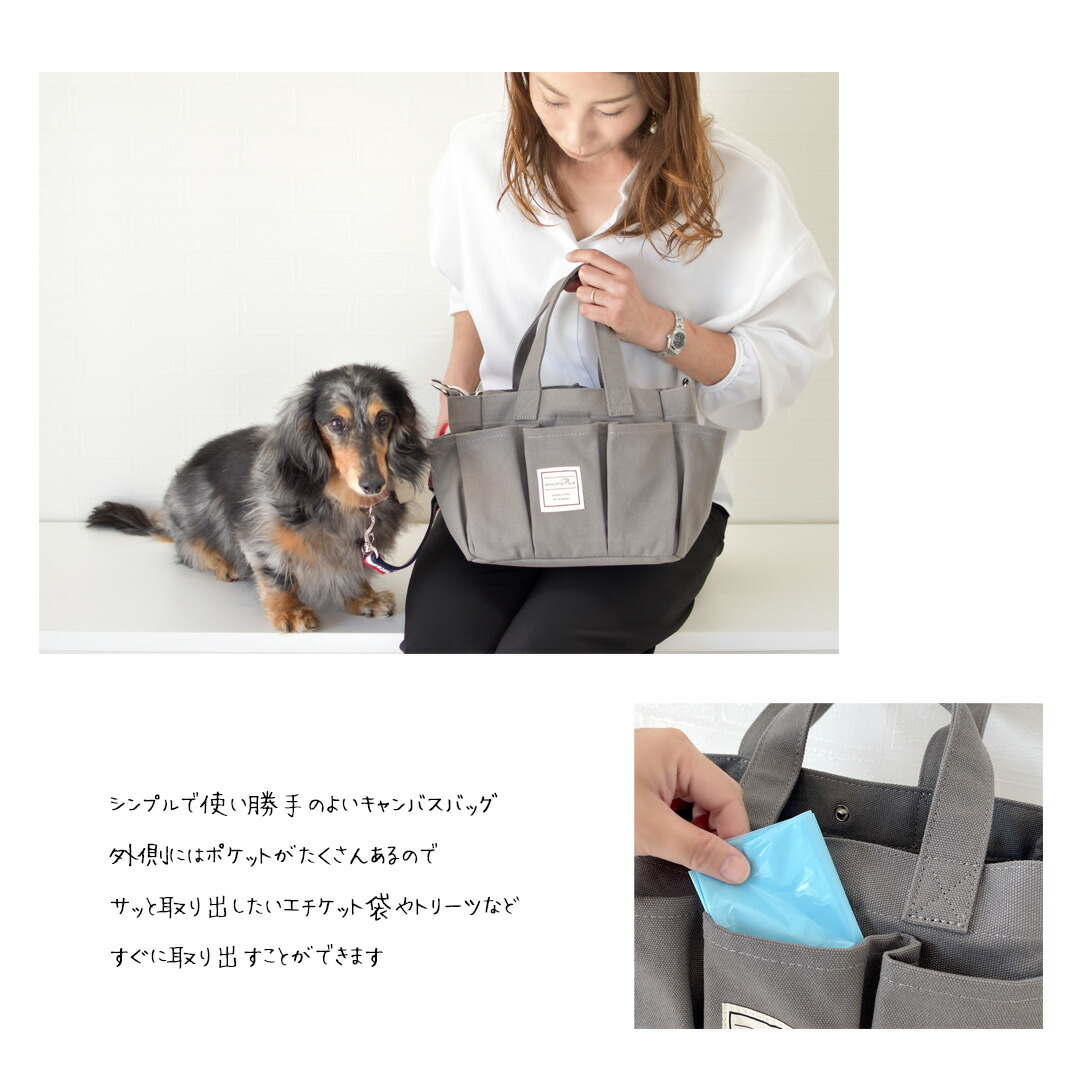 市場 お散歩バッグ 2WAY ショルダー ペットバッグ