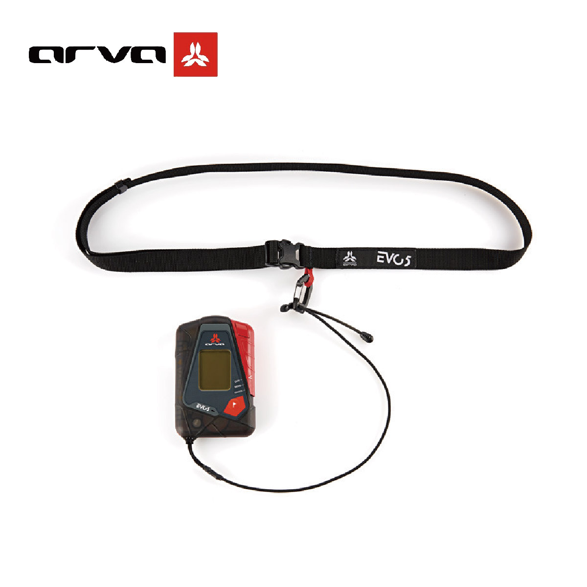 楽天市場】雪崩ビーコン バックカントリー アルバ ARVA EVO5 エボ