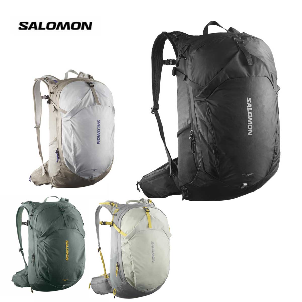 楽天市場】SALOMON サロモン バッグ・ケース バッグパック