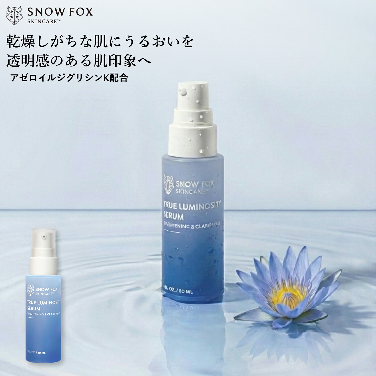 SNOW FOX SKINCARE BRUSH COLLECTION