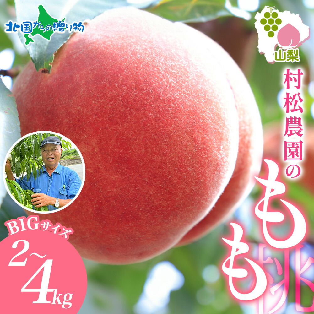 山梨県 笛吹市産 桃 2kg(4~6玉)/4kg(8~12玉) もも モモ 白桃 旬 産地直送 大玉 完熟 果物 お中元 フルーツ 敬老の日 山梨 新鮮 人気 美味しい 贈答 ギフト 夏ギフト 産直 村松農園 笛吹市 送料無料 ◆出荷予定:7月中旬-9月上旬|北国からの贈り物(北海道グルメ)