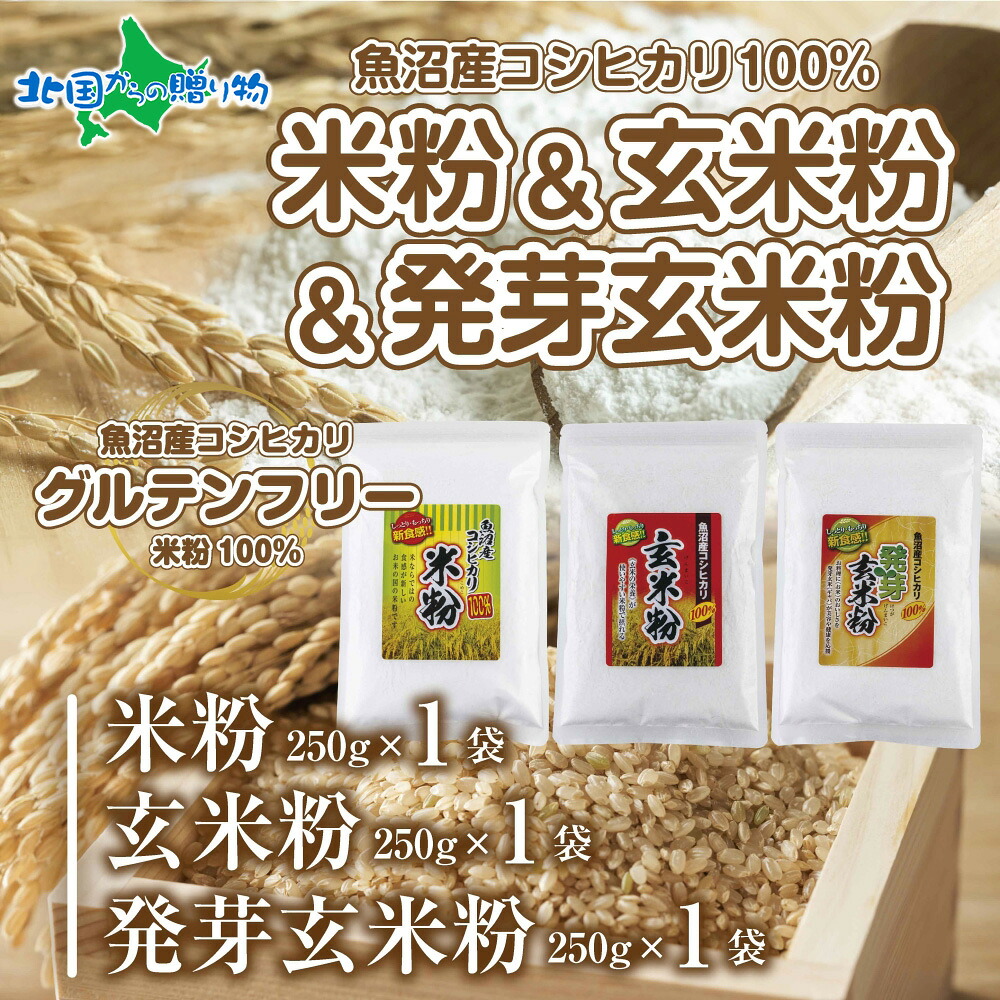 新潟県産 米粉 発芽玄米粉 玄米粉 各250g 計750g 魚沼産 コシヒカリ 玄米 アレルギー グルテンフリー 小麦粉 不使用 GABA お取り寄せ 詰め合わせ 製菓材料 パン用 製菓用 送料無料 国産 コパフーズ 新潟県 お取り寄せ