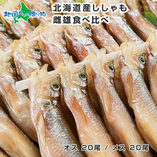 楽天市場 北海道 本ししゃも 雌雄 食べ比べ セット 40尾 北海道産 シシャモ 材料 海鮮 バーベキュー セット 食材 グルメ お取り寄せ 父の日 北海道 ししゃも メス オス 魚 プレゼント 父の日 海鮮 おつまみ ギフト Set 送料無料 家飲み 北海道 食べ物 父の日