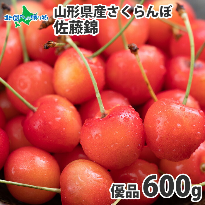 山形県産さくらんぼ 佐藤錦 優品 L玉 600g サクランボ さくらんぼ 佐藤錦 山形 佐藤錦 お取り寄せ 果物 フルーツ ギフト 旬の果物 産地直送 産直 父の日 さくらんぼ 佐藤錦 お取り寄せ グルメ Gift 送料無料  予約販売◆出荷予定：6月中旬-下旬頃