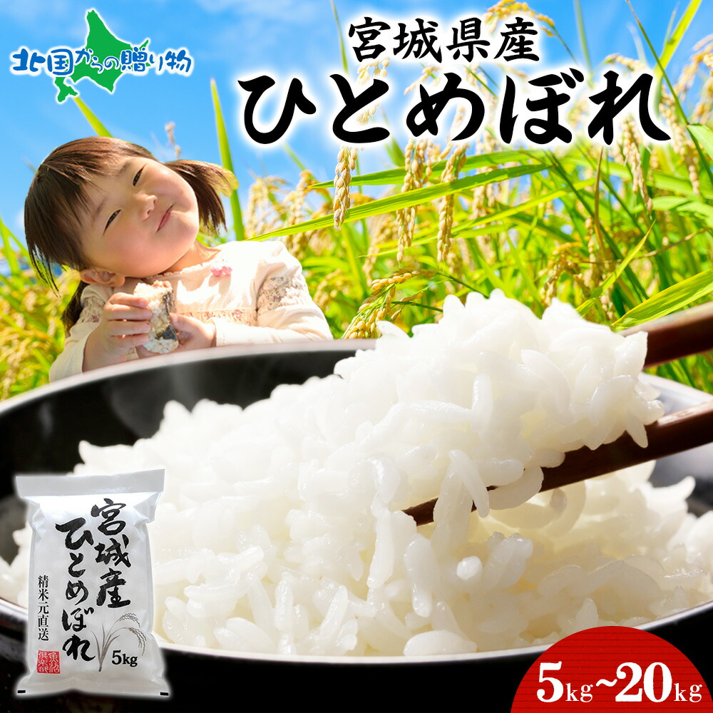 宮城県産 ひとめぼれ 計5kg/計10kg/計15kg/計20kg 宮城県 米 コメ 白米 精米 お米 ごはん 小分け 常備食 国産 安全 産直 ブランド米 国産米 美味しい米 甘み もちもち ふっくら 母の日 父の日 米 5キロ 10キロ 15キロ 20キロ 産地直送 お取り寄せ 送料無料 北国からの贈り物