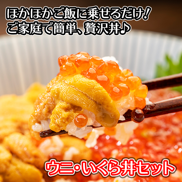 男親の時日差上物 海鮮 二色丼鉢 揃い 4人手前っ面 海胆 いくら 海鮮丼 うに イクラ いくら醤油漬け ギフト いくら丼 うに丼 お取り寄せ 美食家 ギフト ウニ イクラ醤油漬け 父の日 食べ物 贈呈品 海鮮 ギフト セット いくら うに 海胆 Gift Set 北からの与え 貨物輸送無料