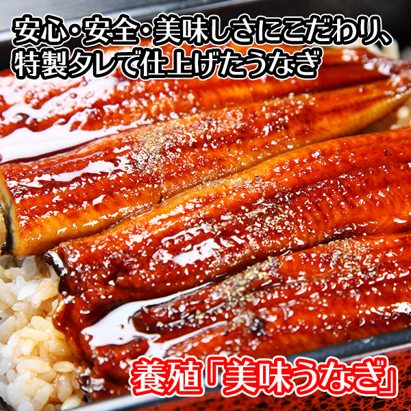 乃父の年月日贈もの ウナギの蒲焼き 5尾 一揃え 1g 130g前後 ウナギ ギフト うなぎ ギフト 鰻 うなぎ 蒲焼き 海鮮 土用の丑の日 ウナギ うなぎ 鰻 ギフト 父の日 うなぎ 蒲焼 降誕日 御持たせ 快気祭式 父の日 食物 Gift Set Present 貨物輸送無料 北方からの与え