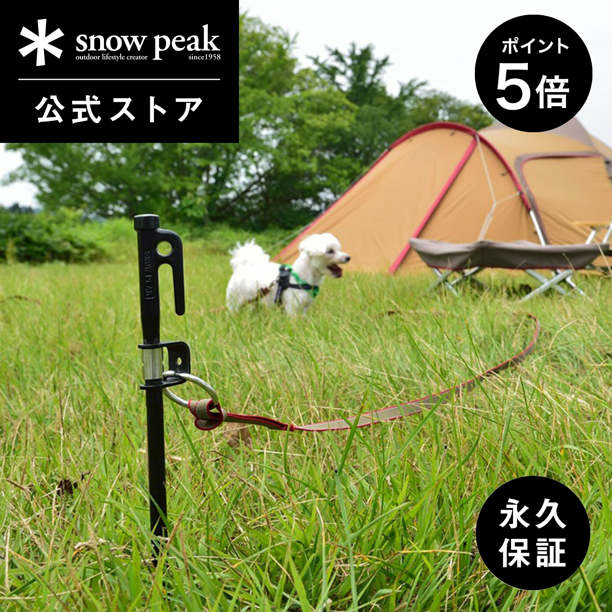 楽天市場】【定価12,936円】【スノーピーク 公式】【永久保証付