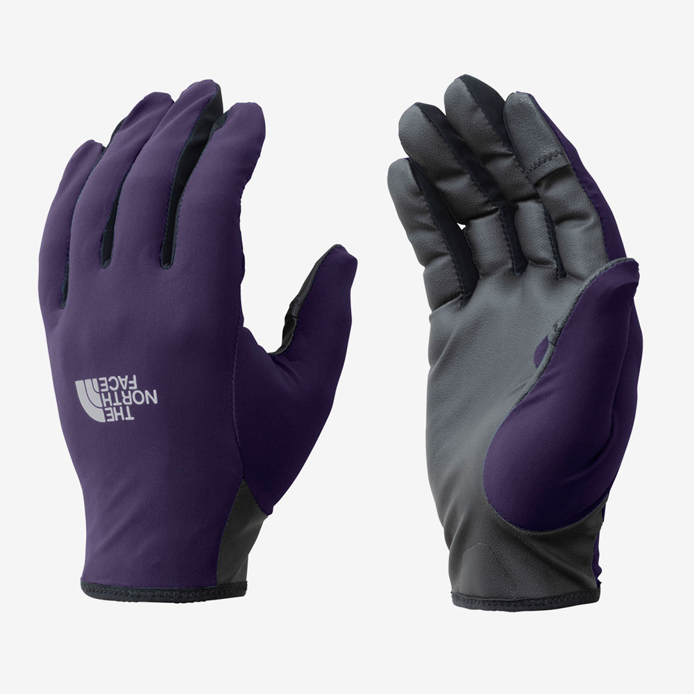 ザ・ノース・フェイス(THE NORTH FACE) スキーグローブ ミトン
